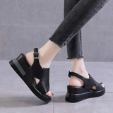 Black (Model B)